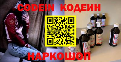 индика Камень-на-Оби