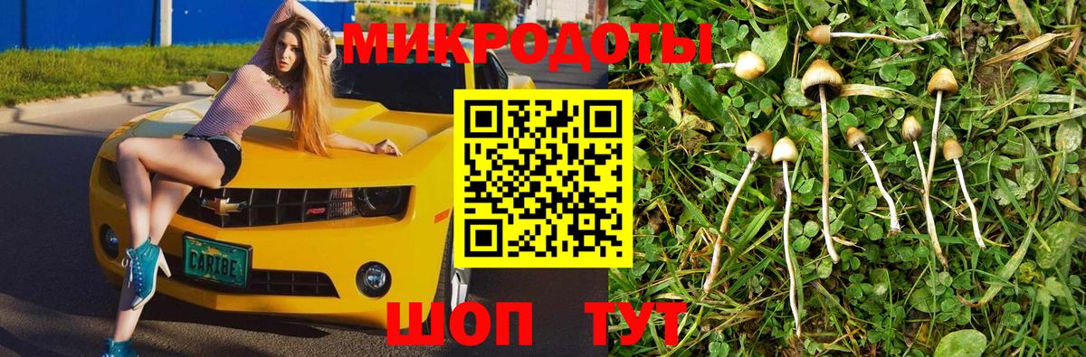 Галлюциногенные грибы MAGIC MUSHROOMS Краснокаменск