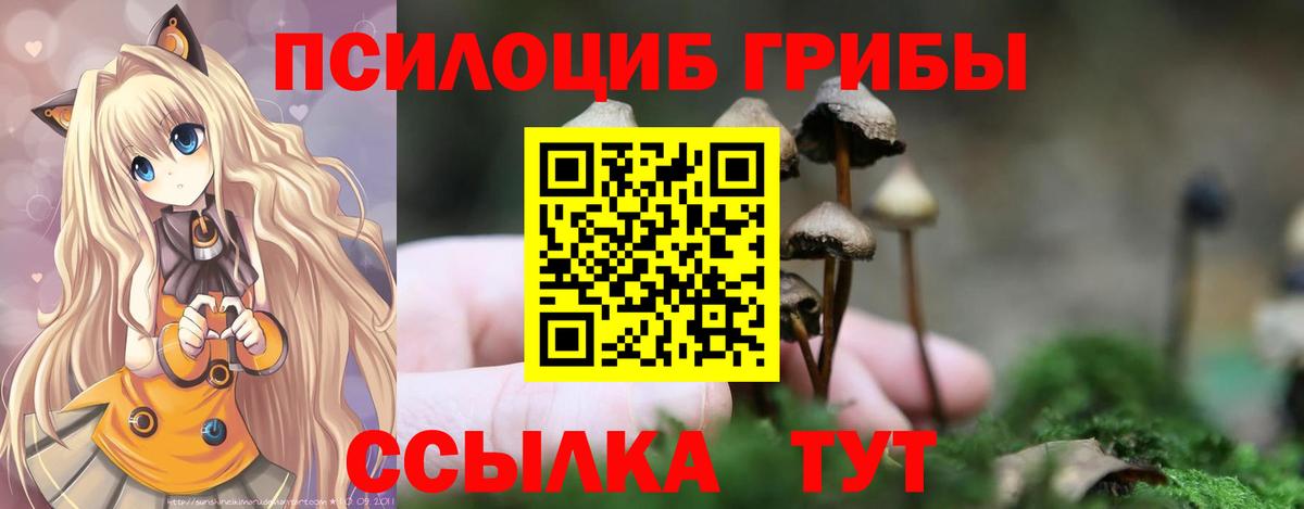 Краснокаменск  Галлюциногенные грибы Psilocybine cubensis  Вход с VPN  Галлюциногенные грибы Cubensis 